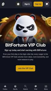 Discover the Best Live Tables at Bitfortune Casino -1314542605