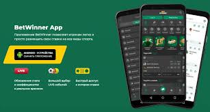 Comprehensive Guide to the BetWinner Betting Platform