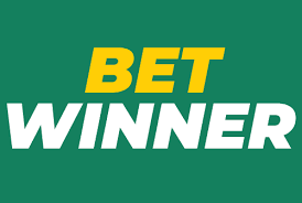 Comprehensive Guide to the BetWinner Betting Platform