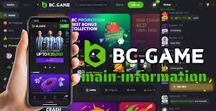 Everything You Need to Know About BC.Game Registration