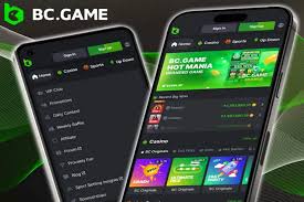 Understanding BC.Game Mirror Sites Your Gateway to Endless Gaming